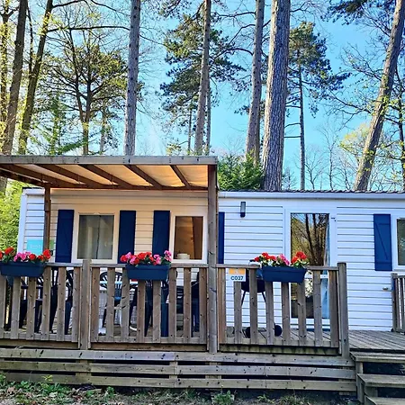 Tiny Sweet Saint-Chéron