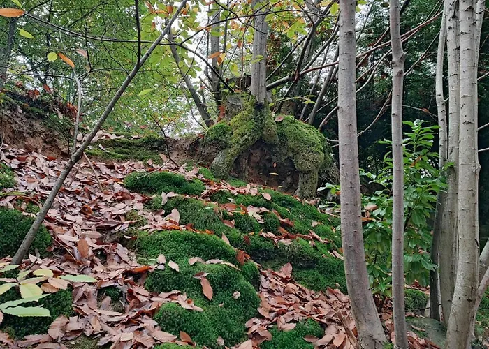 Tiny Sweet Parque de Campismo Saint-Chéron